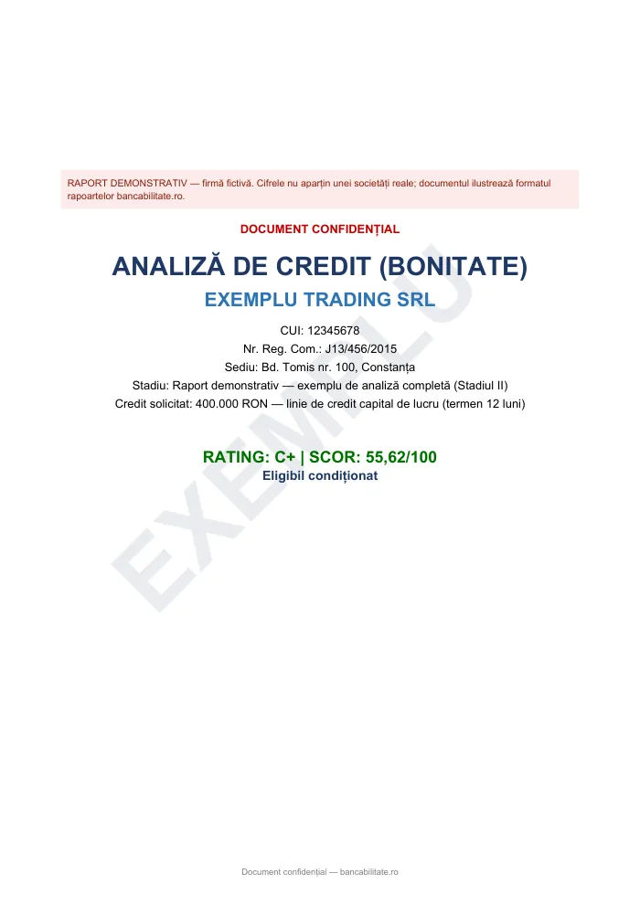 Pagina cu scorul de bancabilitate din raportul demo
